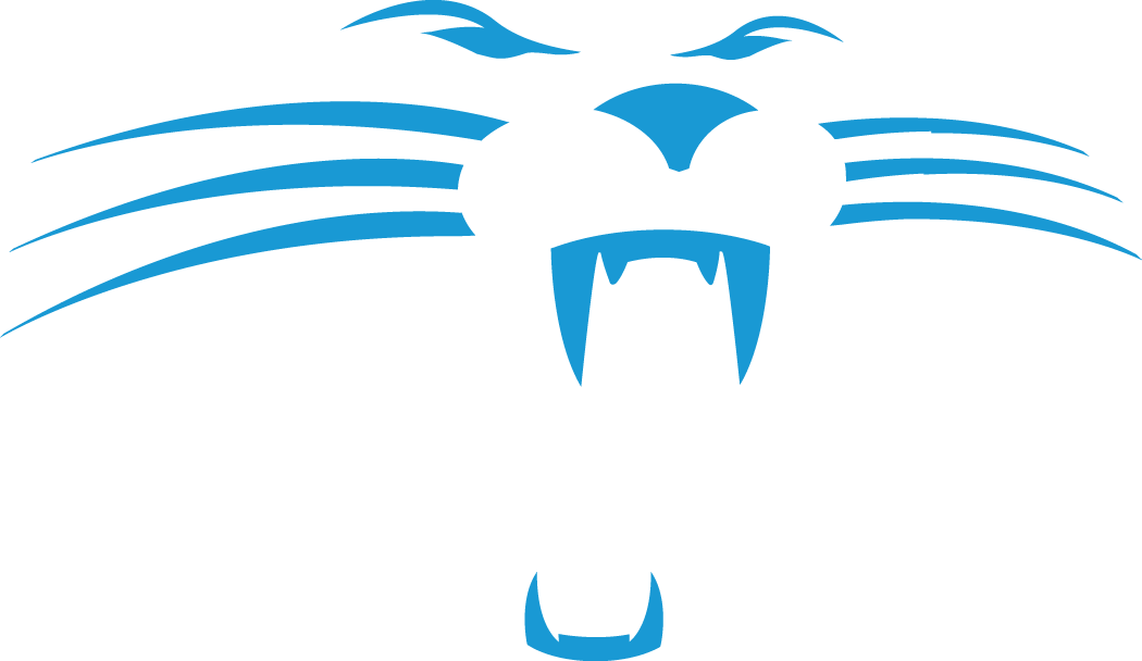 Carolina Panthers 1995-2011 Alternate Logo iron on transfers for clothing version 3